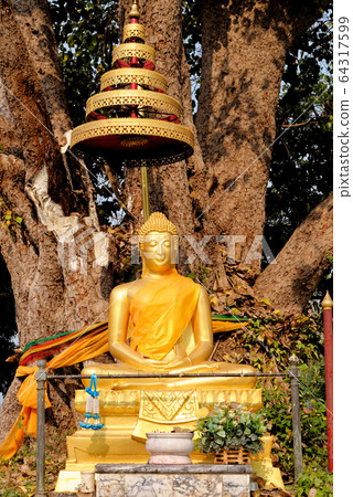Buddha statues in Wat Niwet Thammaprawat temple 64317599