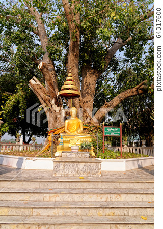 Buddha statues in Wat Niwet Thammaprawat temple 64317600