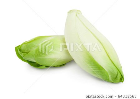 Chicory salad isolated on white background with clipping path and full depth of field. 64318563