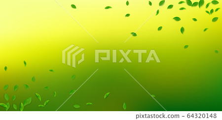 Falling green leaves. Fresh tea chaotic leaves fly Falling green leaves. Fresh tea chaotic leaves fly 64320148
