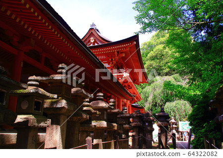 Fresh green at Nara Park (Nara City) @ Kasuga Grand Shrine Fresh green at Nara Park (Nara City) @ Kasuga Grand Shrine 64322082