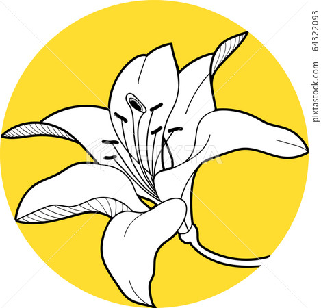 lily flawers in the circle hand draw 64322093