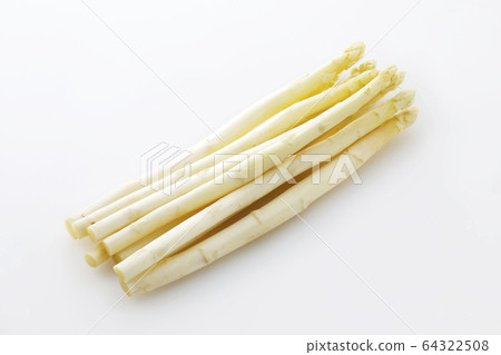 白蘆筍 白蘆筍 64322508