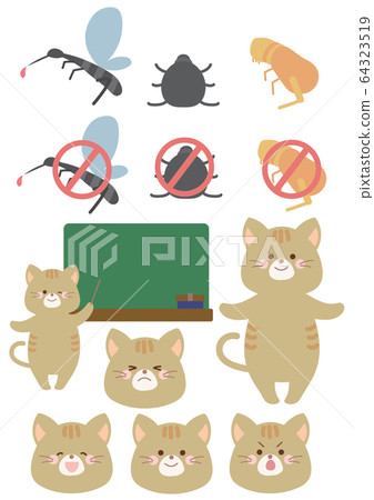 Cats and mosquitoes, fleas, ticks 64323519
