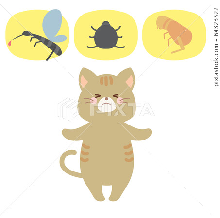 Cat and mosquito 64323522