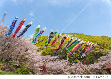 櫻花和鯉魚飄帶 64324523