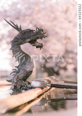 Cherry blossoms and water shops 64325022