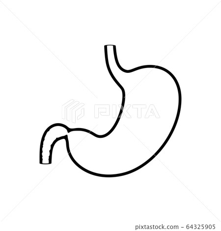 Vector isolated illustration of stomach 64325905