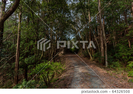 Mountain road Mountain road 64326508