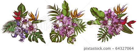 Flower bouquet of colored monstera, banana palm leaves, strelitzia, heliconia, tropical palm leaves, orchid 64327064
