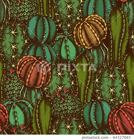 Seamless pattern with hand drawn colored cactus 64327065