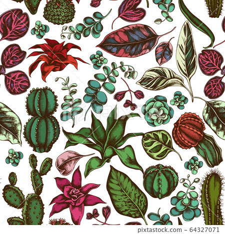 Seamless pattern with hand drawn colored ficus, iresine, kalanchoe, calathea, guzmania, cactus Seamless pattern with hand drawn colored ficus, iresine, kalanchoe, calathea, guzmania, cactus 64327071