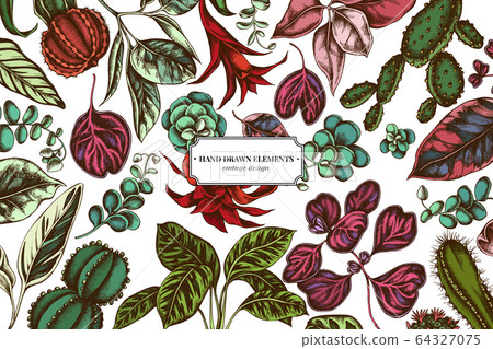 Floral design with colored ficus, iresine, kalanchoe, calathea, guzmania, cactus 64327075