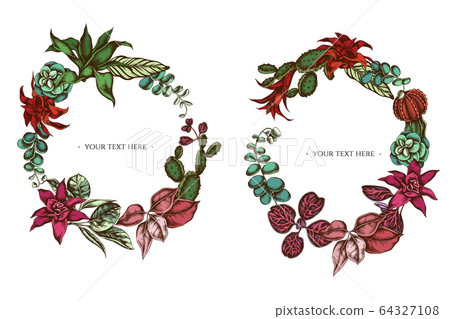 Floral Wreath of colored ficus, iresine, kalanchoe, calathea, guzmania, cactus 64327108