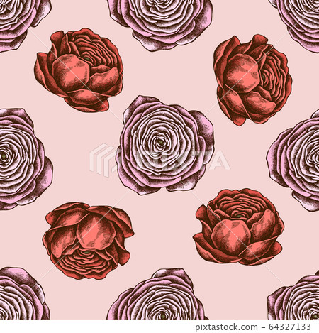 Seamless pattern with hand drawn colored ranunculus 64327133
