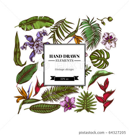 Square floral design with colored monstera, banana palm leaves, strelitzia, heliconia, tropical palm leaves, orchid Square floral design with colored monstera, banana palm leaves, strelitzia, heliconia, tropical palm leaves, orchid 64327205