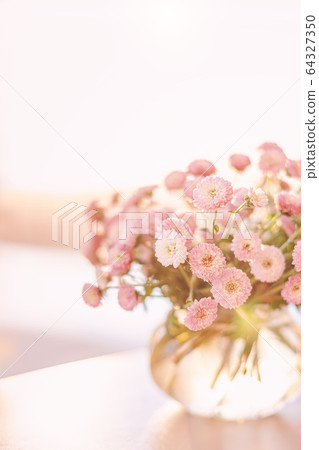 pink flowers bouquet in glass vase with blurred pink flowers bouquet in glass vase with blurred 64327350