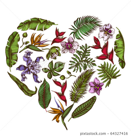 Heart floral design with colored monstera, banana palm leaves, strelitzia, heliconia, tropical palm leaves, orchid 64327416