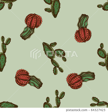 Seamless pattern with hand drawn colored cactus - Stock Illustration ...