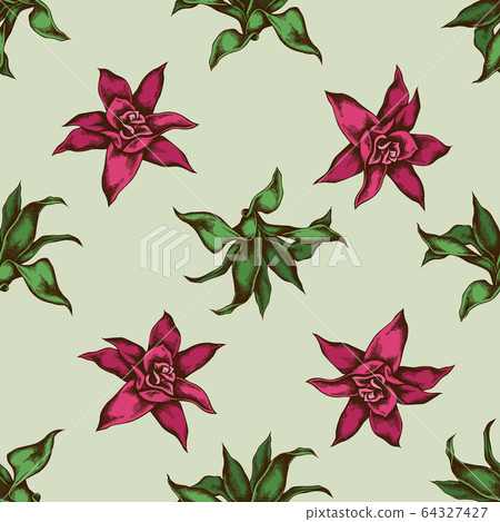 Seamless pattern with hand drawn colored guzmania Seamless pattern with hand drawn colored guzmania 64327427