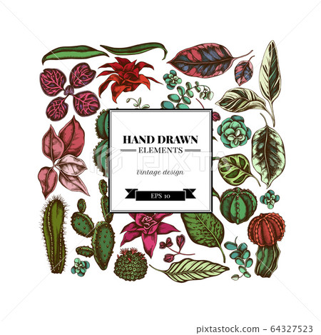Square floral design with colored ficus, iresine, kalanchoe, calathea, guzmania, cactus Square floral design with colored ficus, iresine, kalanchoe, calathea, guzmania, cactus 64327523