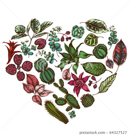 Heart floral design with colored ficus, iresine, kalanchoe, calathea, guzmania, cactus 64327527