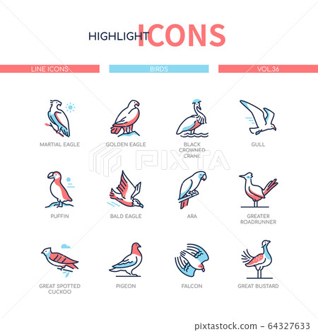 Bird species - modern line design style icons set 64327633