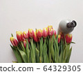 Red and yellow tulips with number eight. Top view of the white background of the spring composition. 64329305