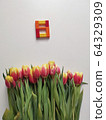 Red and yellow tulips with number eight. Top view of the white background of the spring composition. 64329309