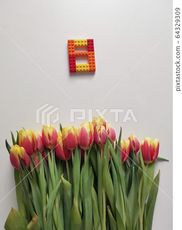 Red and yellow tulips with number eight. Top view of the white background of the spring composition. 64329309