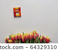 Red and yellow tulips with number eight. Top view of the white background of the spring composition. 64329310