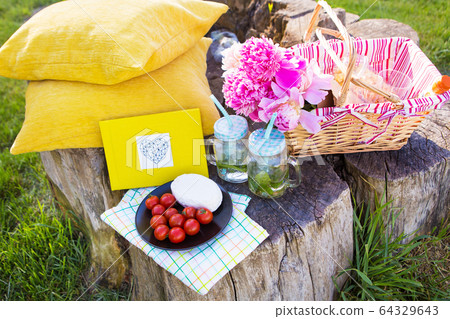 Bright summer picnic Bright summer picnic 64329643