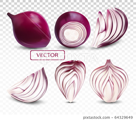 Collection fresh red onion close up.Sliced, half, piece onion on transparent background. 3D realistic vector illustration Collection fresh red onion close up.Sliced, half, piece onion on transparent background. 3D realistic vector illustration 64329649