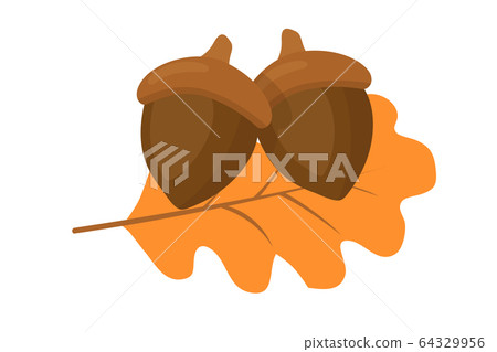Dry leaf and acorns flat vector illustration Dry leaf and acorns flat vector illustration 64329956