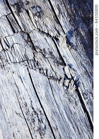 Abstract detail of old dry wood 64330800