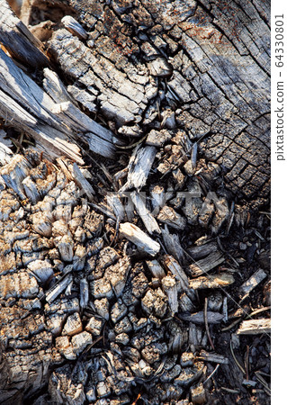 Detail of old dry broken wood 64330801