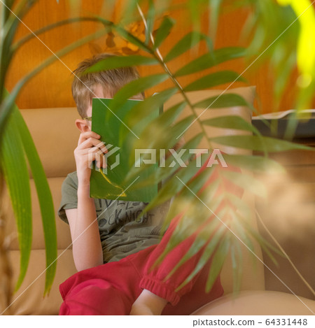 Tropical palm leaves and their shadows on a yellow background 64331448