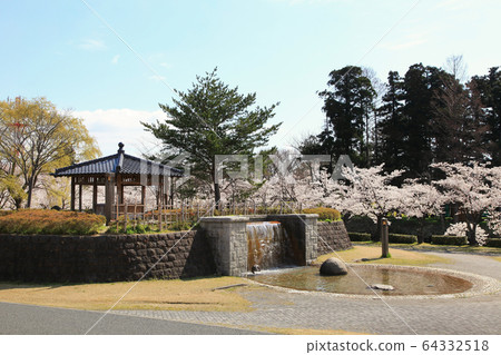 Cherry blossoms at Tsuruoka Park Cherry blossoms at Tsuruoka Park 64332518