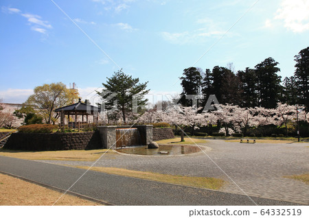 Cherry blossoms at Tsuruoka Park Cherry blossoms at Tsuruoka Park 64332519