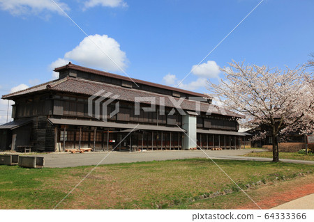 松岡開墾地上的櫻花和建築物 64333366