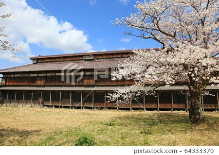Matsugaoka Reclaimed Ground Cherry Blossoms and Buildings Matsugaoka Reclaimed Ground Cherry Blossoms and Buildings 64333370