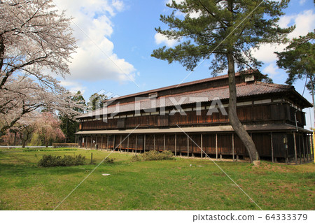 Matsugaoka Reclaimed Ground Cherry Blossoms and Buildings 64333379
