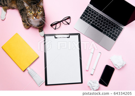 Funny cat lying on the office desk and playing with crumpled paper balls. 64334205