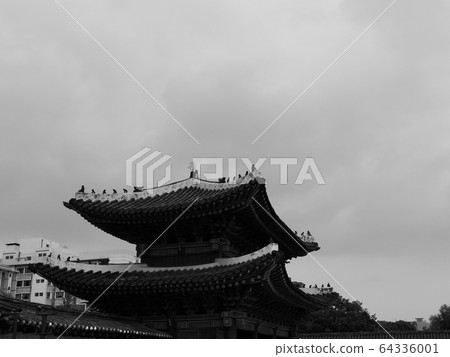 Korean traditional palace Changgyeonggung, black and white photo 64336001