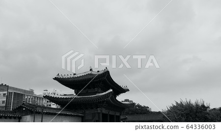 Korean traditional palace Changgyeonggung, black and white photo 64336003