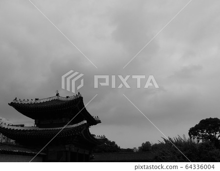 Korean traditional palace Changgyeonggung, black and white photo 64336004