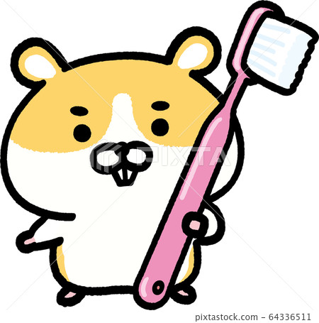Golden hamster pink with a toothbrush 64336511