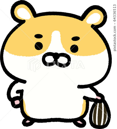 金黃倉鼠向日葵種子 金黃倉鼠向日葵種子 64336513