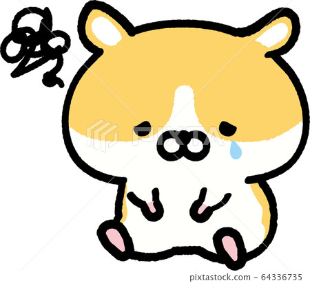 哭金色倉鼠 64336735