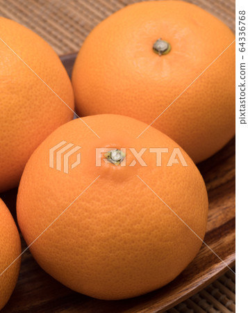 Kiyomi Orange 64336768